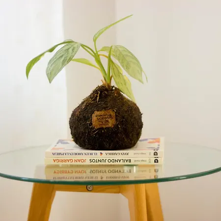 New And Cozy In The Center Of *